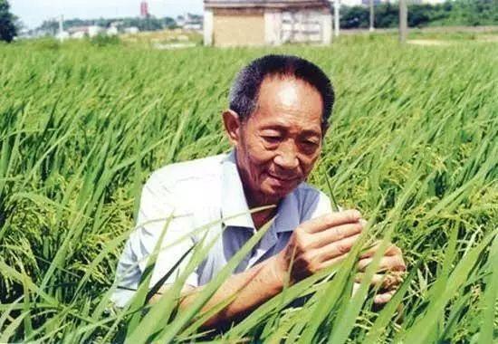 一日三餐，米香彌漫，飽食者當(dāng)憶袁公！