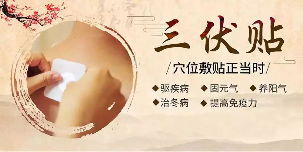 關(guān)于三伏貼，你了解多少呢？
