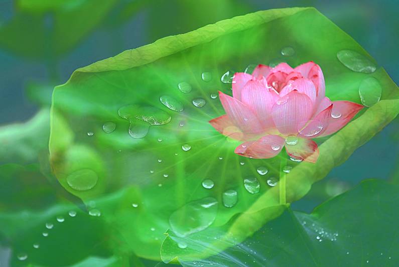 醫(yī)療器械網(wǎng)：失眠該怎么辦？