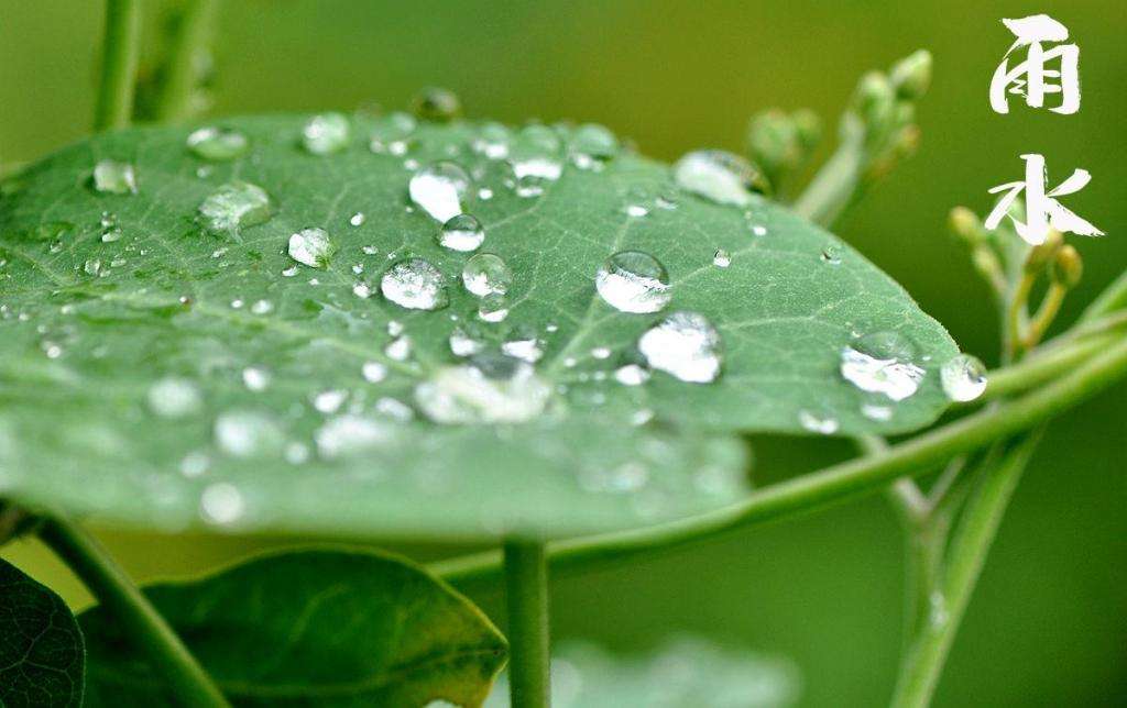 雨水！